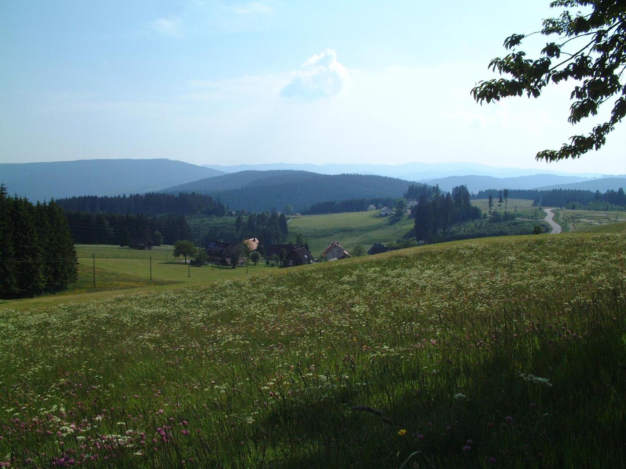 Cafe-Pension Feldbergblick Titisee-Neustadt Bagian luar foto