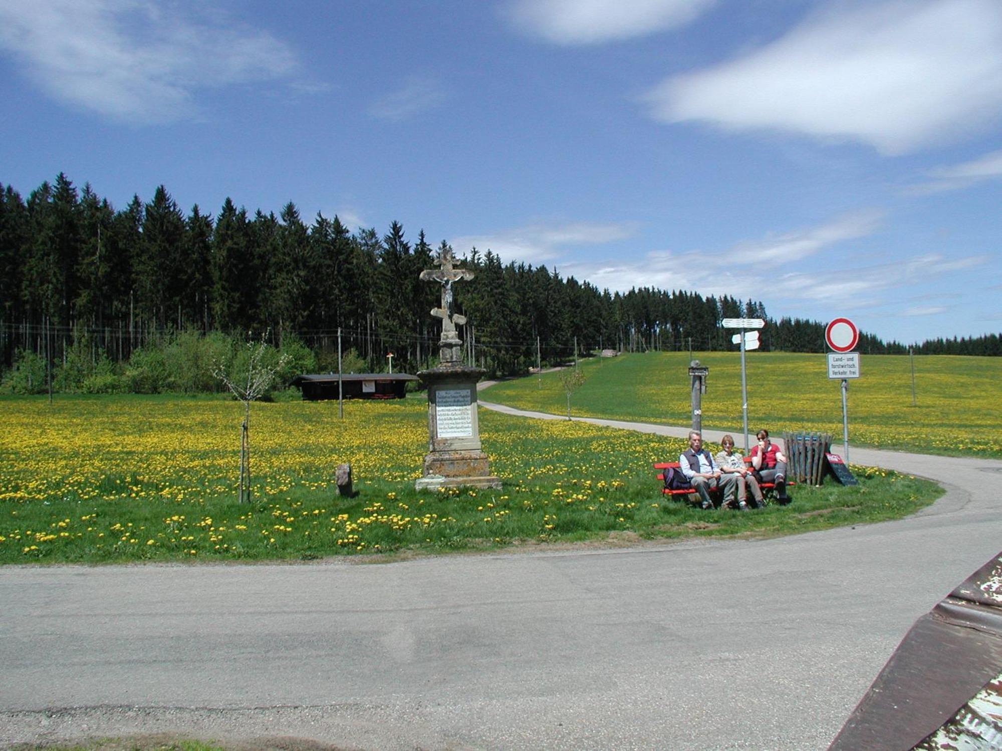 Cafe-Pension Feldbergblick Titisee-Neustadt Bagian luar foto